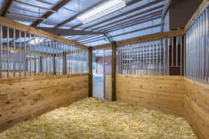 UCF Therapeutic Equestrian Center Clancy & Theys