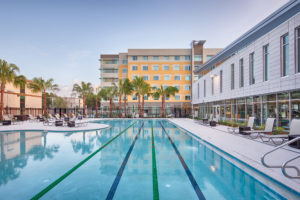 USF Wellness Pool