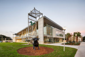 USF Wellness