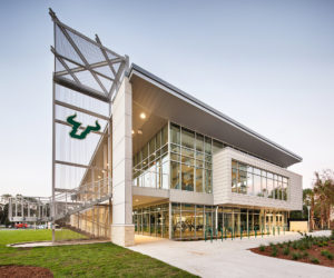 USF Wellness