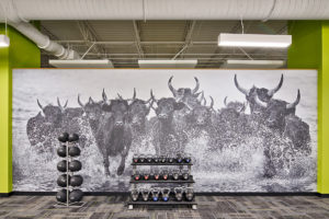 USF mural