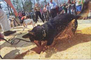SPCA Groundbreaking with Dog