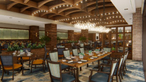 The Tower at the Cardinal North Hills Rendering