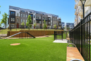 Everly Dog Park